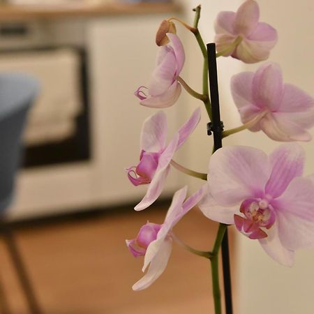 Ηλιόλουστο Apartment Атина Екстериор снимка