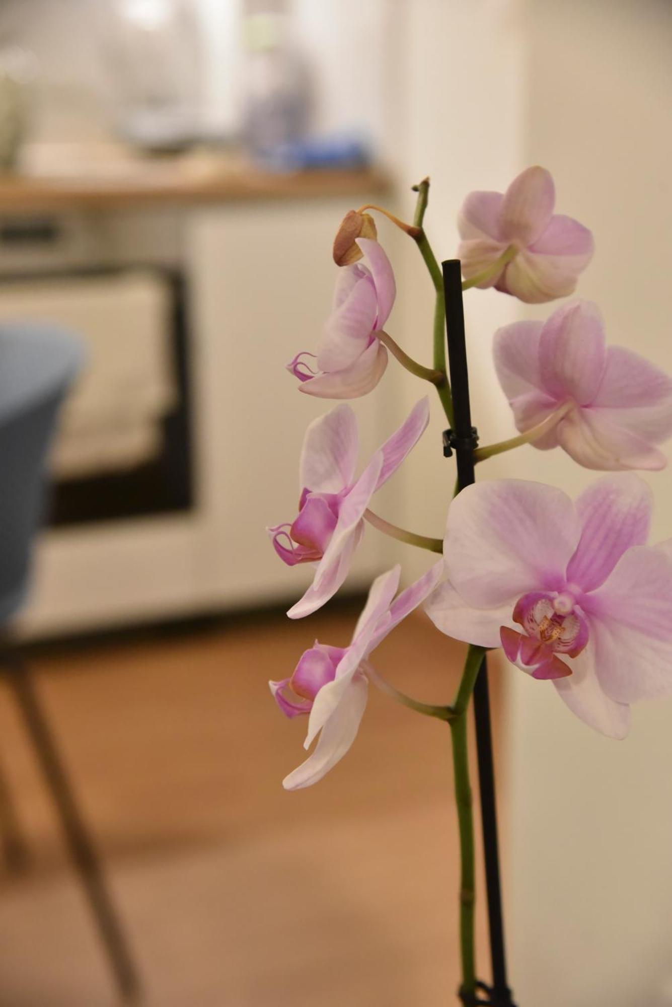 Ηλιόλουστο Apartment Атина Екстериор снимка